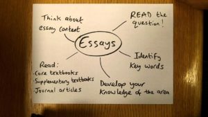 wskazówki jak napisać dobry esej angielski